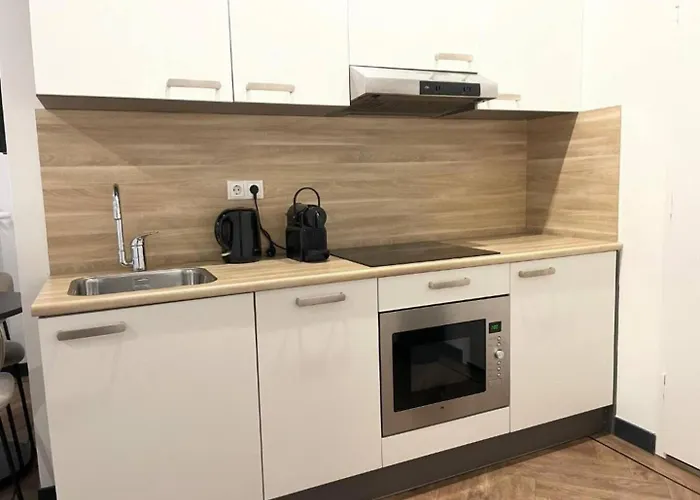 Modern Studio In Kitchen And Bathroom Τίλμπουργκ