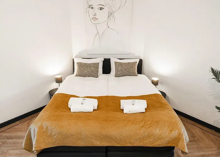 Modern Studio In Kitchen And Bathroom Apartment Tilburg