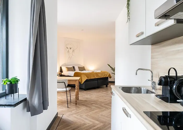 Modern Studio In Kitchen And Bathroom Apartment *