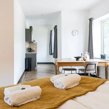 Modern Studio In Kitchen And Bathroom 提耳堡