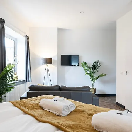 Appartement Modern Studio In Kitchen And Bathroom