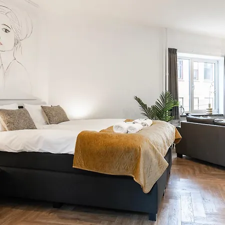Modern Studio In Kitchen And Bathroom 公寓