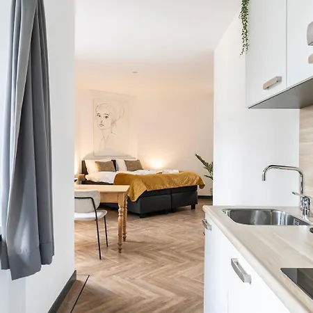 Modern Studio In Kitchen And Bathroom Appartement *